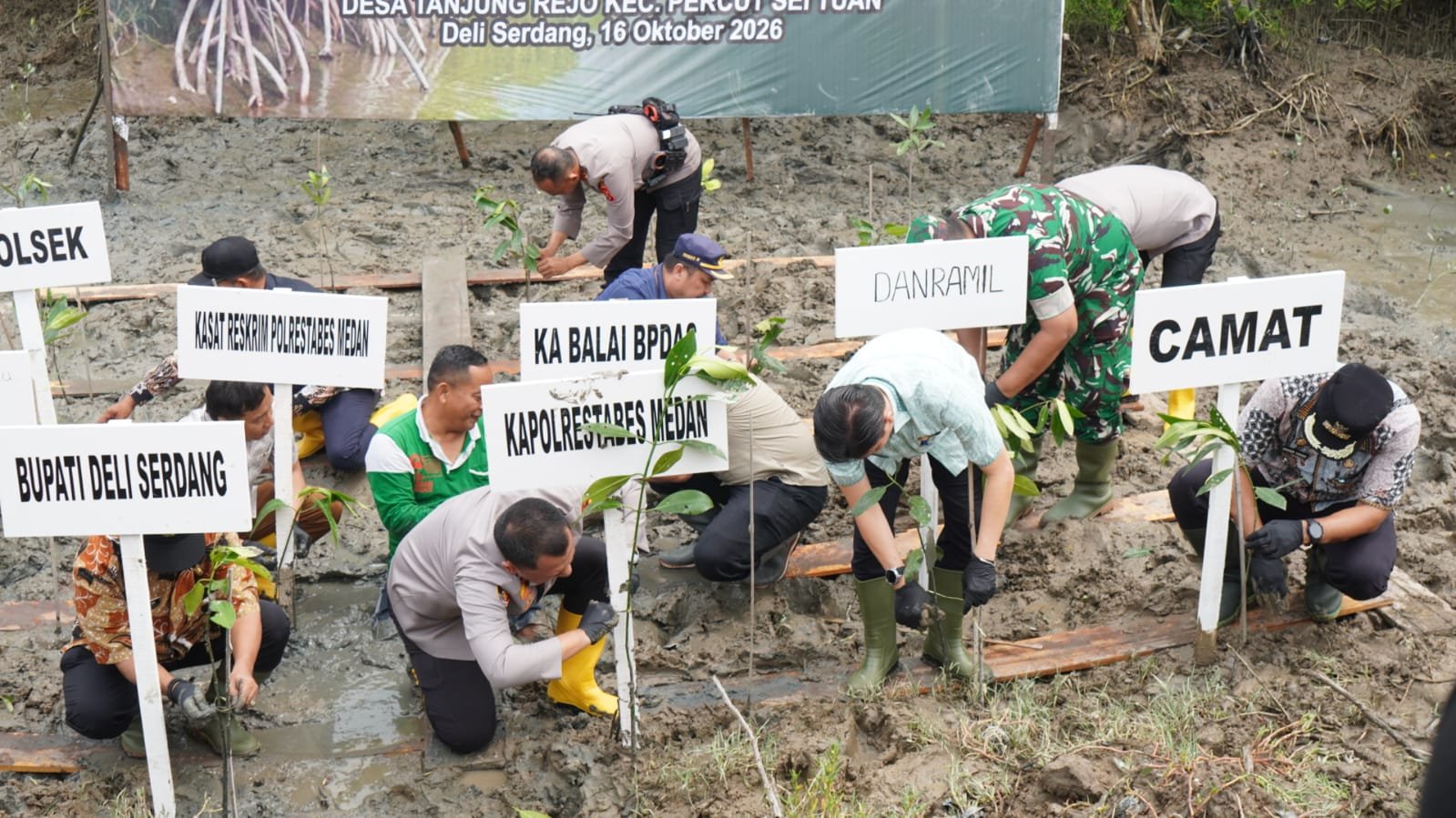 Pemkab Deli Serdang Dukung Green Policing, 1.994 Bibit Mangrove Ditanam di Pesisir Tanjung Rejo